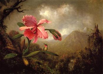 馬丁 約翰遜 赫德 Orchid and Hummingbird near a Mountain Waterfall